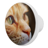 Gesichts einer Ingwerkatze bestimmt Keramikknauf (Rechts)