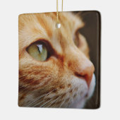 Gesichts einer Ingwerkatze bestimmt Keramikornament (Links)