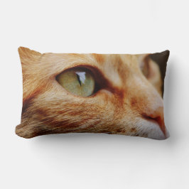 Gesichts einer Ingwerkatze bestimmt Lendenkissen