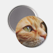 Gesichts einer Ingwerkatze bestimmt Magnet (Vorderseite/Rückseite)