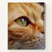 Gesichts einer Ingwerkatze bestimmt Notizblock (Rückseite)