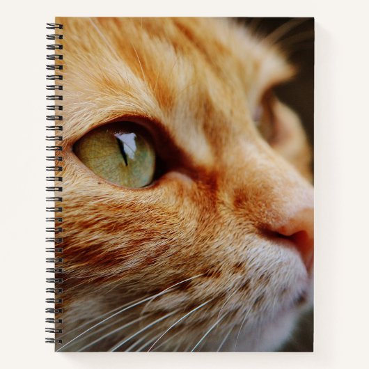 Gesichts einer Ingwerkatze bestimmt Notizblock (Vorderseite)