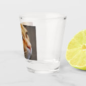 Gesichts einer Ingwerkatze bestimmt Schnapsglas (Rechts)