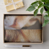 Gesichts einer Ingwerkatze bestimmt Seidenpapier (Geschenk)