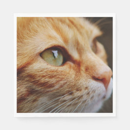 Gesichts einer Ingwerkatze bestimmt Serviette