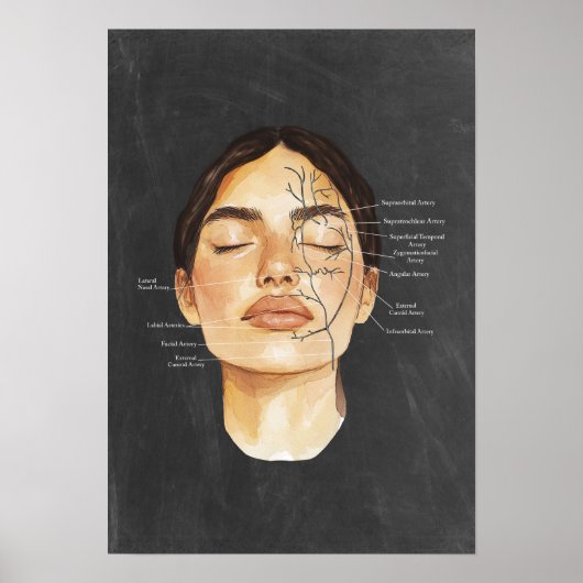 Gesichtsanatomie Blutgefäße Anatomische Kunst Poster (Vorne)
