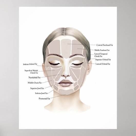 Gesichtsanatomie Druck 1  Poster (Vorne)