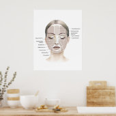 Gesichtsanatomie Druck 1  Poster (Küche)