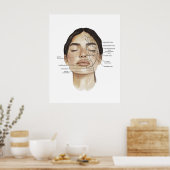 Gesichtsanatomie Druck 3 Poster (Küche)