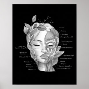 Gesichtsanatomie Gesichtsmuskeln Med Wellness-Cent Poster