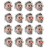 Gesichtsaufkleber, Gesichtsaufkleber nach Maß, kun Aufkleber (Vorderseite)