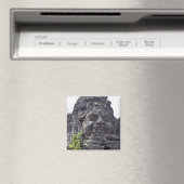 Gesichtsdetails des West Gate-Tower Gopuram), Magnet (In Situ (Geschirrspüler))