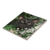 Gesichtsfliese der schwarzen Katze Fliese (Seite)