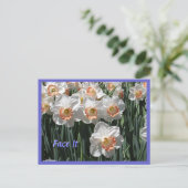 Gesichtshaut - Kleidungsstücke Postkarte (Stehend Vorderseite)