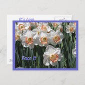 Gesichtshaut - Kleidungsstücke Postkarte (Vorne/Hinten)