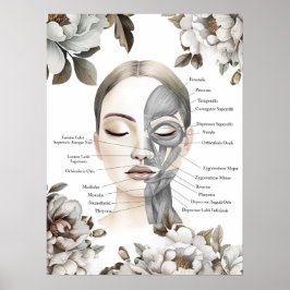 Gesichtsmuskeln Anatomische Art Massage Therapist Poster
