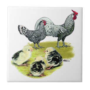 Gespannte Hamburger Familie Fliese