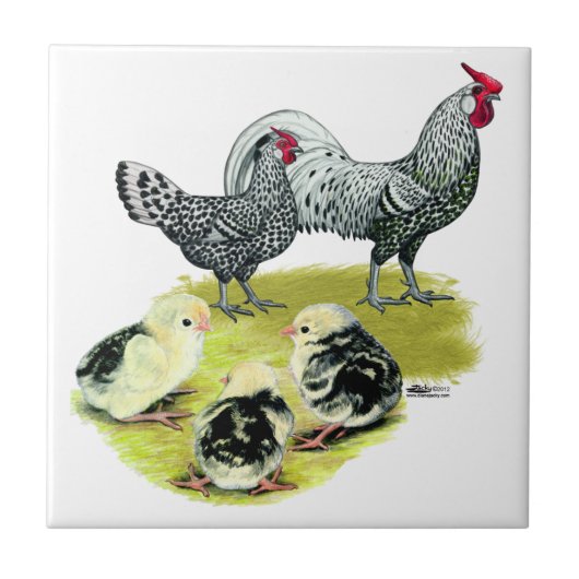 Gespannte Hamburger Familie Fliese (Vorderseite)