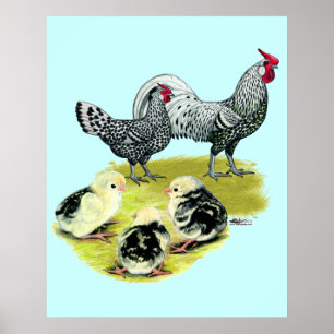 Gespannte Hamburger Familie Poster