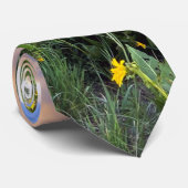 Gespeicherter Butte, CO-Foto Krawatte (Gerollt)