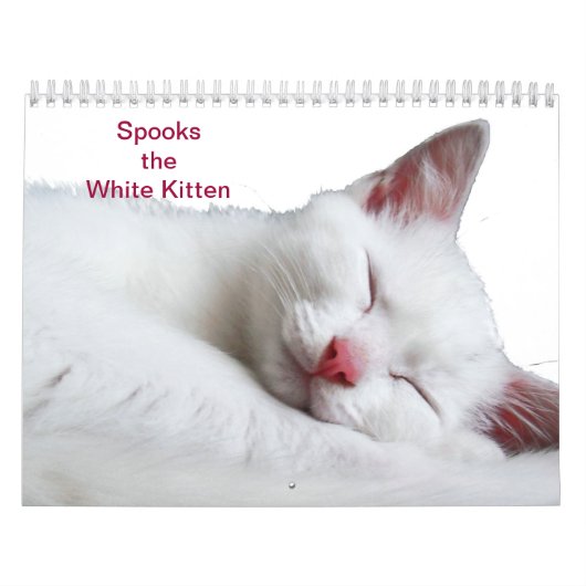 GESPENSTER DAS WEISSE KÄTZCHEN - CALLENDER KALENDER (Titelbild)