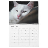 GESPENSTER DAS WEISSE KÄTZCHEN - CALLENDER KALENDER (Mär 2027)