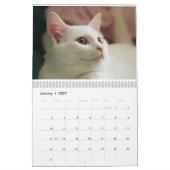 GESPENSTER DAS WEISSE KÄTZCHEN - CALLENDER KALENDER (Jan 2027)
