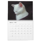 GESPENSTER DAS WEISSE KÄTZCHEN - CALLENDER KALENDER (Feb 2027)