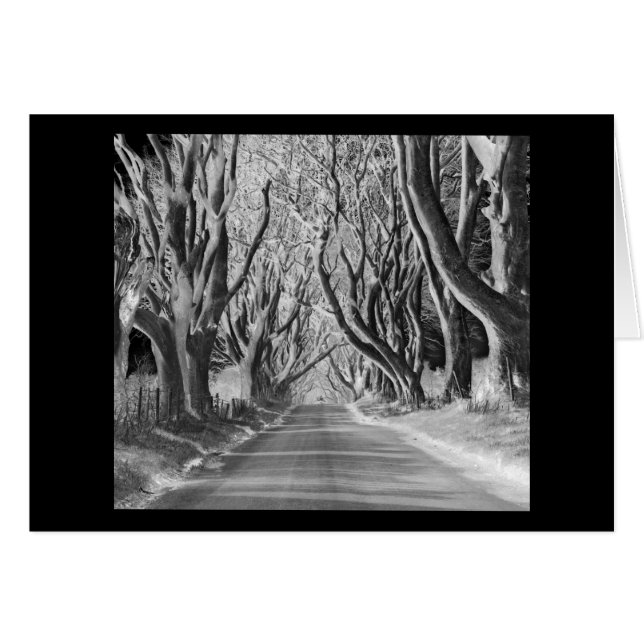 Gespenstisches Holz (Vorderseite (Horizontal))