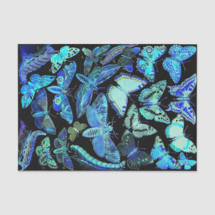 Gespenstisches schwarzes blaues Schmetterlings-und Seidenpapier