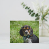 Gespielt im Gras Postkarte (Stehend Vorderseite)