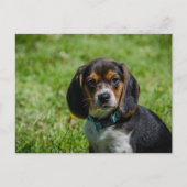 Gespielt im Gras Postkarte (Vorderseite)