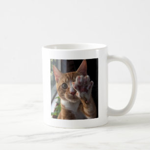 Gespräch zur Tatze Kaffeetasse
