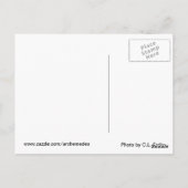 Gespräche mit den Tieren Postkarte (Rückseite)