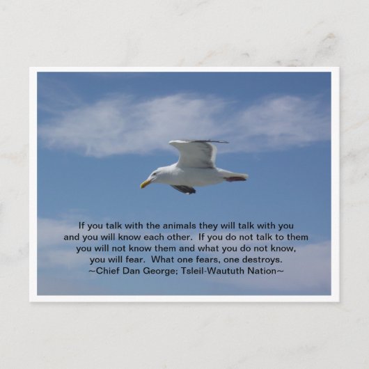 Gespräche mit den Tieren Postkarte (Vorderseite)