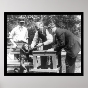 Gespräche mit Orangutan 1920 Poster