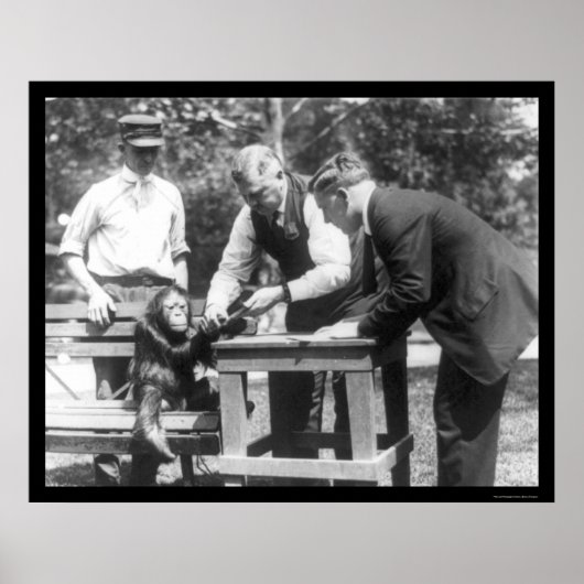 Gespräche mit Orangutan 1920 Poster (Vorne)