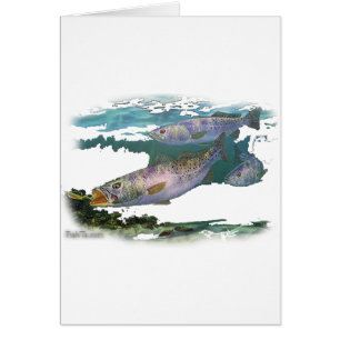 Gesprenkelte Forelle-Füttern