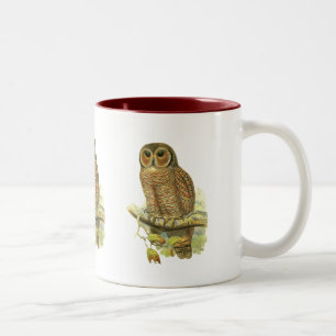 Gesprenkelte hölzerne Eule Zweifarbige Tasse
