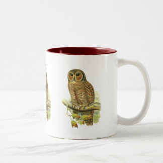Gesprenkelte hölzerne Eule Zweifarbige Tasse