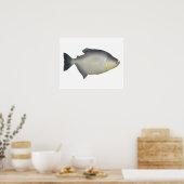Gesprenkelte Piranhas Poster (Küche)