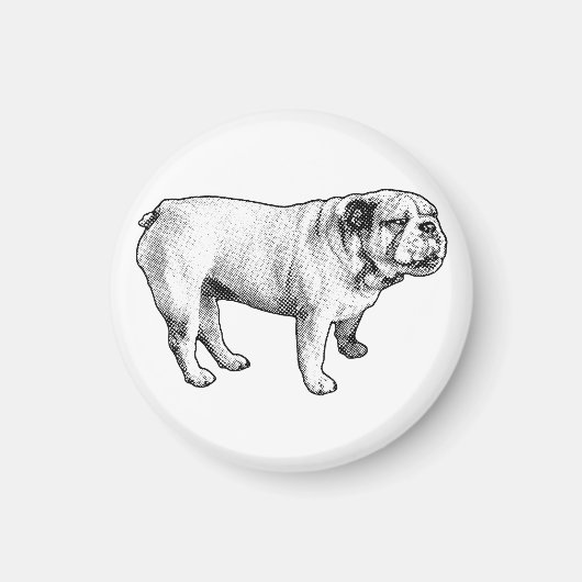 gesprenkelte Ruhe, Bulldogge Magnet (Vorne)