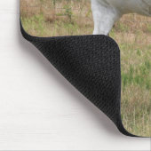 Gesprenkeltes weißes Pferd Mousepad (Ecke)