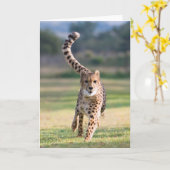 Gesprintete Karte (Gelbe Blume)