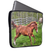 Gespürtes Rotwanzpferd auf Ranch Laptopschutzhülle (Vorne Rechts)