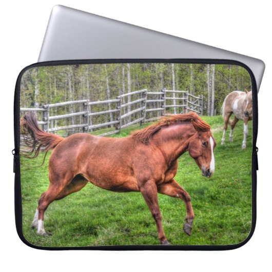 Gespürtes Rotwanzpferd auf Ranch Laptopschutzhülle (Vorderseite)