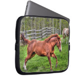 Gespürtes Rotwanzpferd auf Ranch Laptopschutzhülle (Vorne Rechts)
