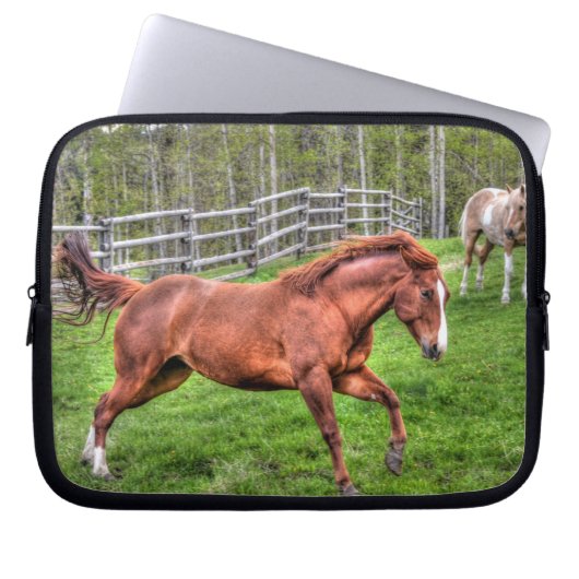 Gespürtes Rotwanzpferd auf Ranch Laptopschutzhülle (Vorderseite)