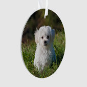 Gestalten Sie ein Akryllisches Weihnachtsgeschenk Ornament (Vorderseite)