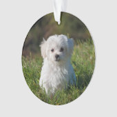 Gestalten Sie ein Akryllisches Weihnachtsgeschenk Ornament (Vorderseite)